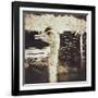 Ostrich in Profile-Theo Westenberger-Framed Photographic Print
