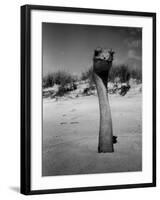 Ostrich in Sand-Nina Leen-Framed Photographic Print