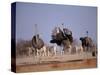 Ostrich Male and Female Courtship Behaviour (Struthio Camelus) Etosha National Park, Namibia-Tony Heald-Stretched Canvas