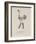 Ostrich Wearing Boots From a Collection Of Poems and Songs by Edward Lear-Edward Lear-Framed Giclee Print