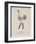 Ostrich Wearing Boots From a Collection Of Poems and Songs by Edward Lear-Edward Lear-Framed Giclee Print