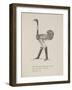 Ostrich Wearing Boots From a Collection Of Poems and Songs by Edward Lear-Edward Lear-Framed Giclee Print