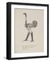 Ostrich Wearing Boots From a Collection Of Poems and Songs by Edward Lear-Edward Lear-Framed Giclee Print