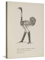 Ostrich Wearing Boots From a Collection Of Poems and Songs by Edward Lear-Edward Lear-Stretched Canvas