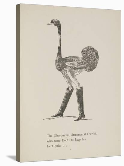 Ostrich Wearing Boots From a Collection Of Poems and Songs by Edward Lear-Edward Lear-Stretched Canvas