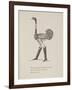 Ostrich Wearing Boots From a Collection Of Poems and Songs by Edward Lear-Edward Lear-Framed Giclee Print