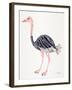 Ostrich-Cat Coquillette-Framed Giclee Print