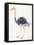 Ostrich-Cat Coquillette-Framed Stretched Canvas