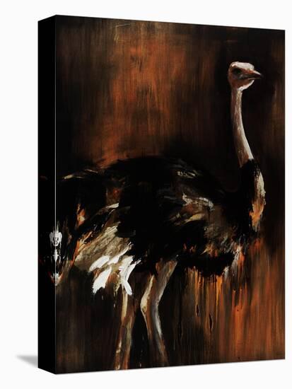 Ostrich-Sydney Edmunds-Stretched Canvas
