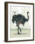 Ostrich-Teofilo Olivieri-Framed Giclee Print