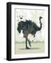 Ostrich-Teofilo Olivieri-Framed Giclee Print