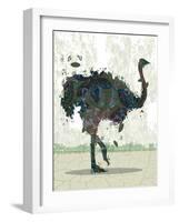 Ostrich-Teofilo Olivieri-Framed Giclee Print