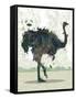 Ostrich-Teofilo Olivieri-Framed Stretched Canvas