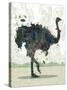 Ostrich-Teofilo Olivieri-Stretched Canvas