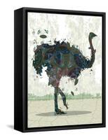 Ostrich-Teofilo Olivieri-Framed Stretched Canvas