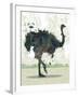 Ostrich-Teofilo Olivieri-Framed Giclee Print