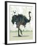 Ostrich-Teofilo Olivieri-Framed Giclee Print