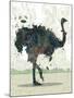 Ostrich-Teofilo Olivieri-Mounted Giclee Print