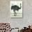 Ostrich-Teofilo Olivieri-Giclee Print displayed on a wall