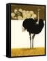 Ostrich-David Nockels-Framed Stretched Canvas