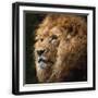 Black Frame