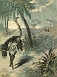 Hunting Ostrich-Oswald Levens-Stretched Canvas