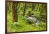 Oswald West State Park, Oregon. a Sylvan View of Short Sand Creek-Michael Qualls-Framed Photographic Print