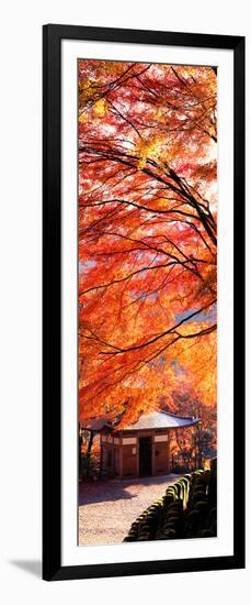 (Otagi Nenbutsuji Temple Ukyo-Ku) Kyoto Japan-null-Framed Photographic Print