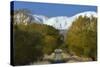 Otago Central Rail Trail , Ida Range, Central Otago, South Island, New Zealand-David Wall-Stretched Canvas