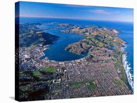 Otago Harbor and Otago Peninsula, Dunedin City, New Zealand-David Wall-Stretched Canvas
