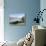 Otago Harbour, Otago Peninsula, Otago, South Island, New Zealand, Pacific-Michael Snell-Stretched Canvas displayed on a wall