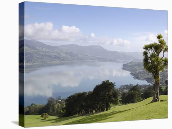 Otago Harbour, Otago Peninsula, Otago, South Island, New Zealand, Pacific-Michael Snell-Stretched Canvas