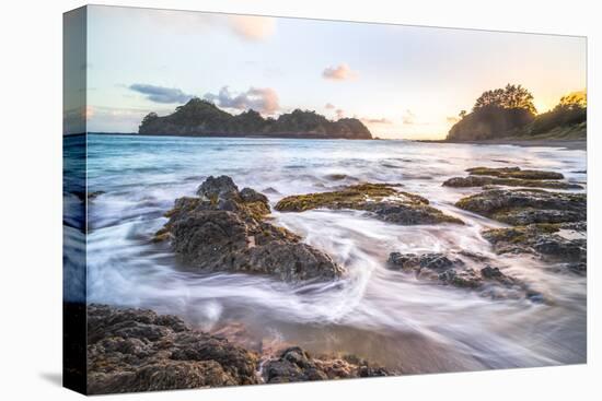 Otamure Bay at Sunrise, Whananaki, Northland Region, North Island, New Zealand, Pacific-Matthew Williams-Ellis-Stretched Canvas