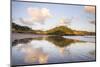 Otamure Bay at Sunrise, Whananaki, Northland Region, North Island, New Zealand, Pacific-Matthew Williams-Ellis-Mounted Photographic Print