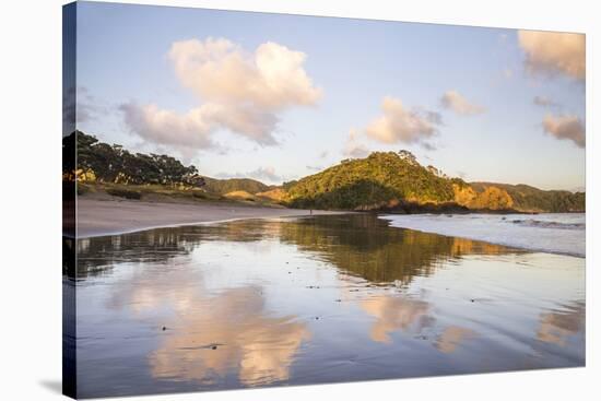 Otamure Bay at Sunrise, Whananaki, Northland Region, North Island, New Zealand, Pacific-Matthew Williams-Ellis-Stretched Canvas