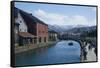 Otaru canal, Otaru, Hokkaido, Japan, Asia-Michael Runkel-Framed Stretched Canvas