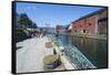 Otaru canal, Otaru, Hokkaido, Japan, Asia-Michael Runkel-Framed Stretched Canvas