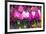 Otavalo Market, Souvenir Shop, Imbabura Province, Ecuador, South America-Gabrielle and Michael Therin-Weise-Framed Photographic Print