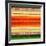 Otavalo-Eleonora Kolomiyets-Framed Art Print