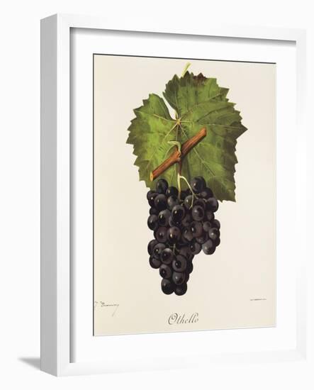Othello Grape-J. Troncy-Framed Giclee Print
