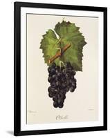 Othello Grape-J. Troncy-Framed Giclee Print