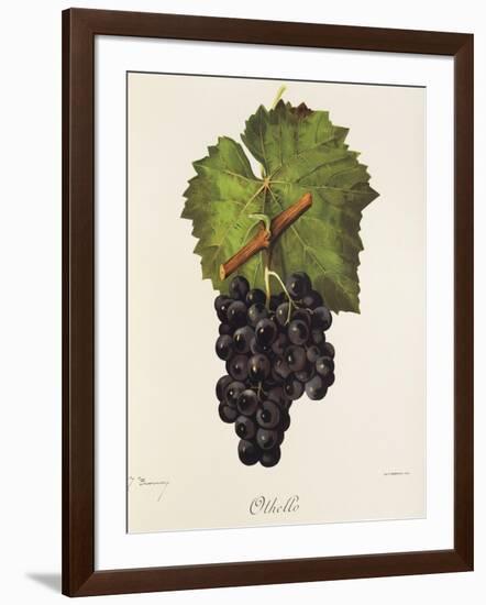 Othello Grape-J. Troncy-Framed Giclee Print