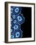 Other Half Of Blue Agates-Jace Grey-Framed Art Print