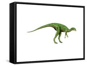 Othnielosaurus Dinosaur-null-Framed Stretched Canvas