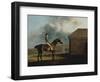 Otho, with John Larkin Up-George Stubbs-Framed Giclee Print