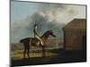 Otho, with John Larkin Up-George Stubbs-Mounted Giclee Print