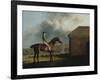 Otho, with John Larkin Up-George Stubbs-Framed Giclee Print