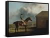 Otho, with John Larkin Up-George Stubbs-Framed Stretched Canvas