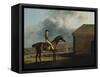 Otho, with John Larkin Up-George Stubbs-Framed Stretched Canvas
