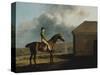 Otho, with John Larkin Up-George Stubbs-Stretched Canvas